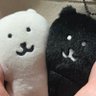 わちょ ☾·̩͙꙳'s profile picture