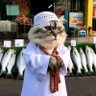 bkry salah's profile picture