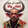 Qaidi 805's profile picture