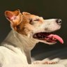 Sowicka Prapull's profile picture