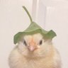 TEK 🍉's profile picture