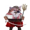flomac fella profil fotoğrafı