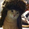 kobi's profile picture