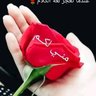 الغرباوي's profile picture