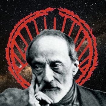 N3weis's profile picture