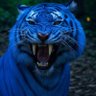 Stan Escobar's profile picture