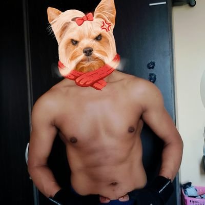 chr_phe26954's profile picture