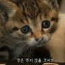 비밀번호잊은토이의스케치북🐬🇰🇷 profil fotoğrafı
