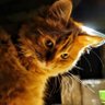 daria profil fotoğrafı
