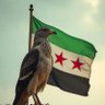 Awad Alkrad's profile picture