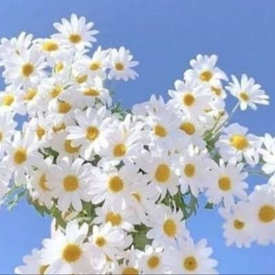 ชอฟอ༊*·˚'s profile picture