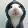 ありたん profil fotoğrafı