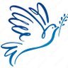 Birsel Demir's profile picture