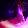 -Tro- profil fotoğrafı