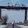 Ayten EKİZ profil fotoğrafı
