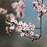 高传(互fo 100%) profil fotoğrafı