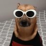 Seguir em Frente's profile picture