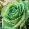 Profilbild von 💚عذبه💚