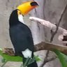 塞翁が馬 profil fotoğrafı
