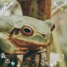 Фото профиля きのこっつ