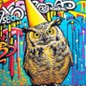 wisefool 的头像