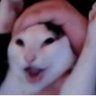 Profilbild von cybek two