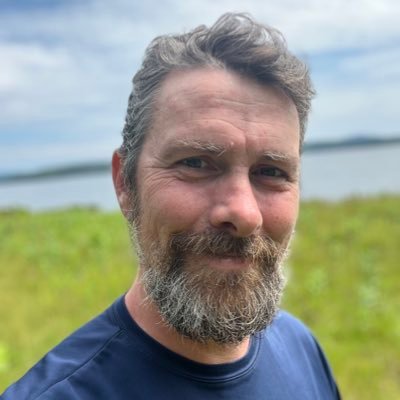 digiphile's profile picture