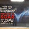 The trumpet sounds's profile picture