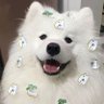 Profilbild von 倒头就睡