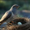 Фото профиля GZ_S/HW