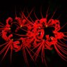 鬼花要六百 profil fotoğrafı