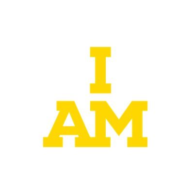Invictus Games Foundation 💛🖤's profile picture