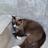 Profilbild von happycat