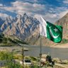 Lone wolf 🇵🇰🇸🇪's profile picture
