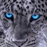 ا's profile picture