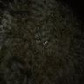 hari's profile picture