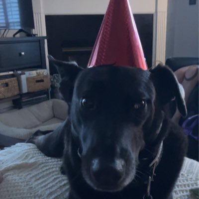 Patrick D. Wessler's profile picture