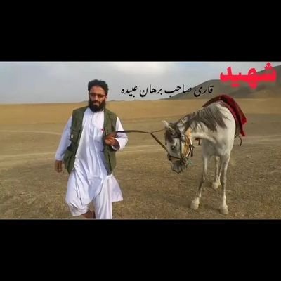 saqibomar313's profile picture