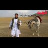 قاري ثاقب ((عمر)) profil fotoğrafı