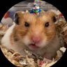ポイ活こてちゃん profil fotoğrafı
