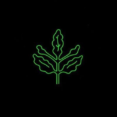 _fenerbey_'s profile picture