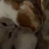 interested in ir's profile picture