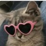 Profilbild von Miss Delusional ✨