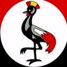 Ben Lukwago's profile picture