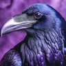 Profilbild von Raven
