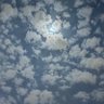 احمد's profile picture