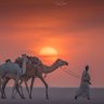 الآعرابي ،( صنّاجة العرب )'s profile picture