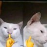 Ragna profil fotoğrafı