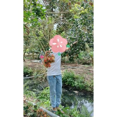 Hội Dally's profile picture
