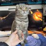 Фото профиля IT’s My DuTy